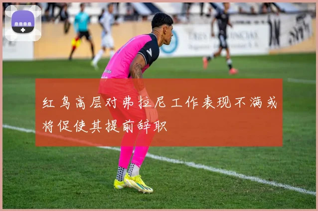 红鸟高层对弗拉尼工作表现不满或将促使其提前辞职